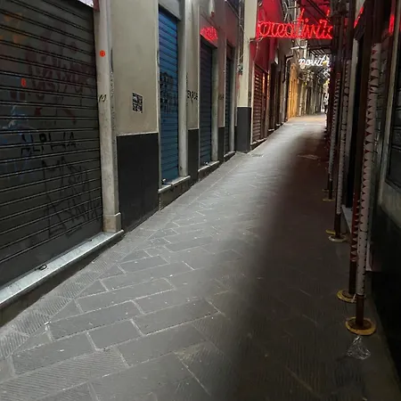 Belle Arti Elegant *