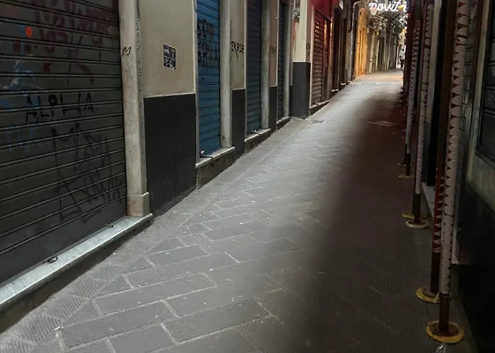 Belle Arti Elegant *